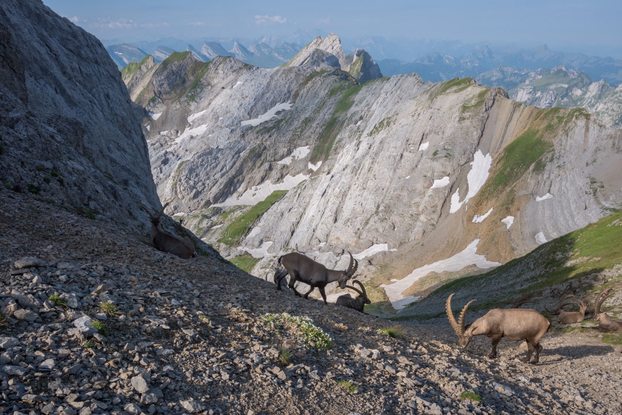 Altmannsattel, Switzerland