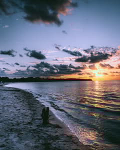 Beach, Norther Zealand