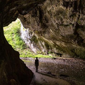 Bolii Cave, Romania