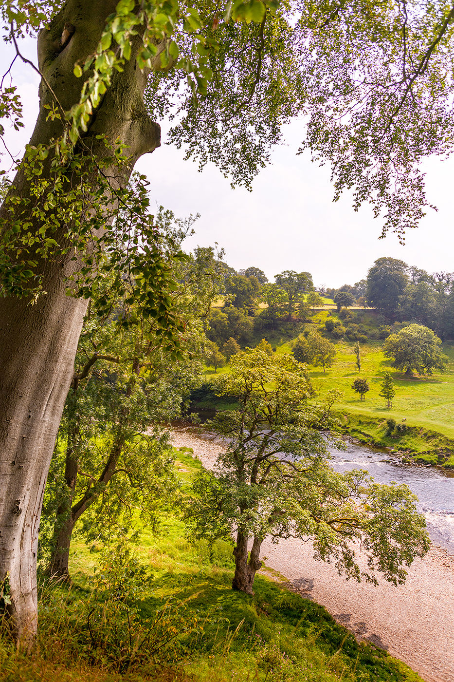 Bolton Priory, United Kingdom