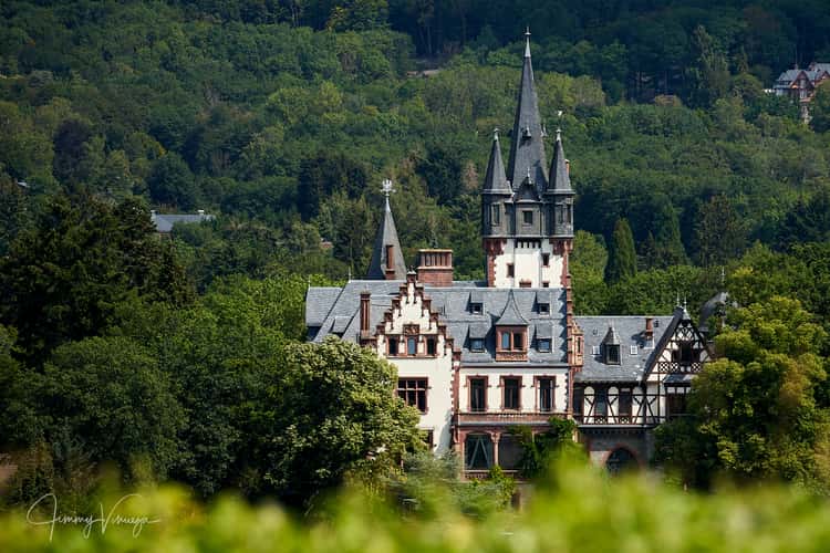 Burg Königstein
