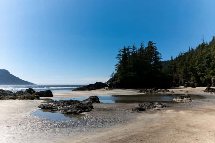 Cape Scott Provincial Park
