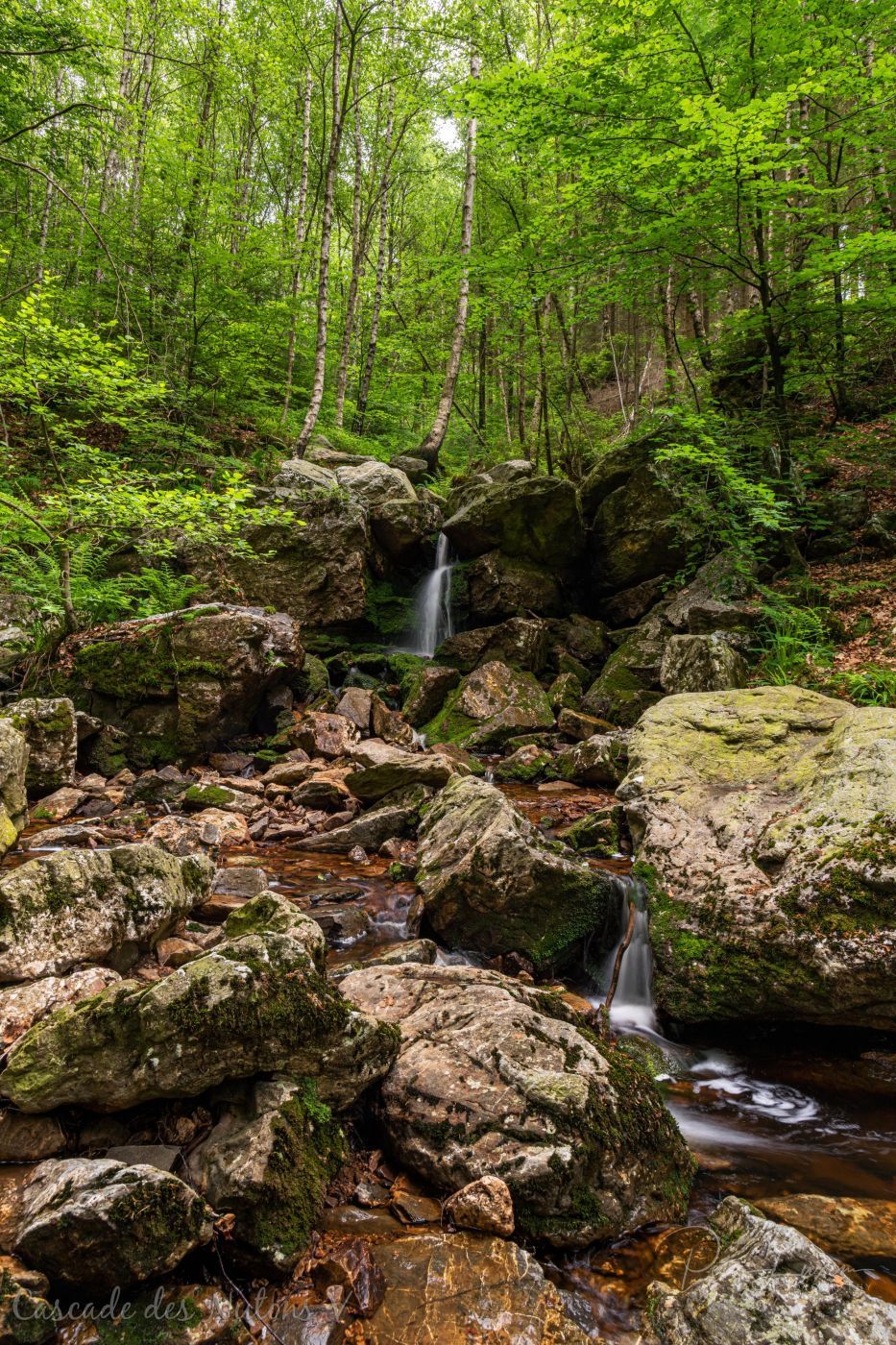 Cascades des Nutons, Belgium