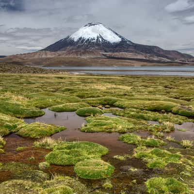 Chungara Lake with Parinacota Volcano, Chile