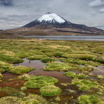 Chungara Lake with Parinacota Volcano, Chile