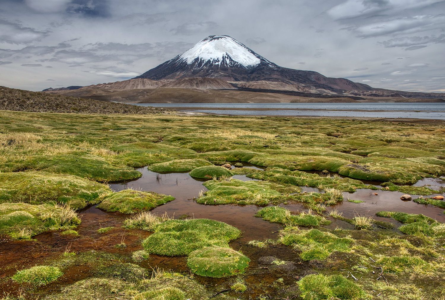 Chungara Lake with Parinacota Volcano, Chile