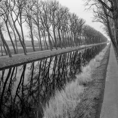 Damse vaart in black and white, Belgium