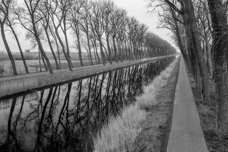 Damse vaart in black and white