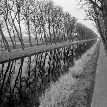 Damse vaart in black and white, Belgium