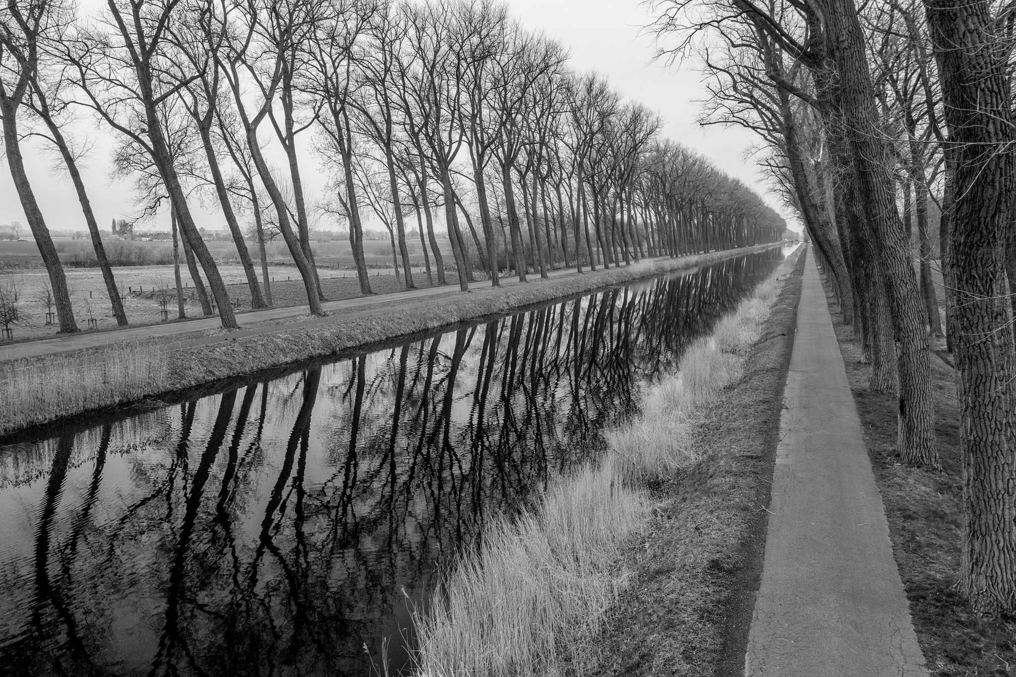 Damse vaart in black and white, Belgium