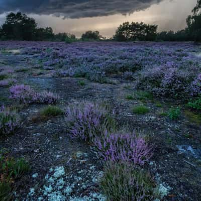 De Teut, Belgium