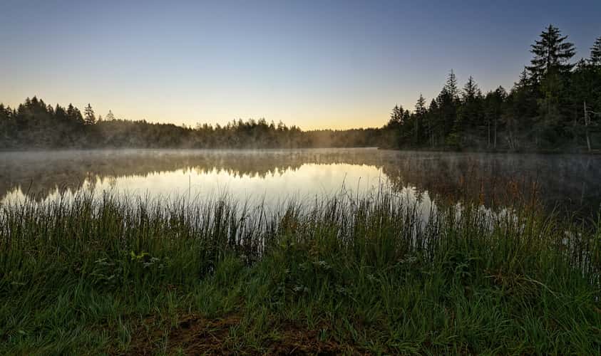 Pond at Saignelégier