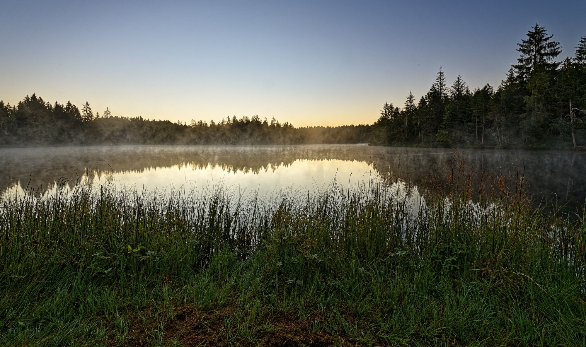 Pond at Saignelégier, Switzerland