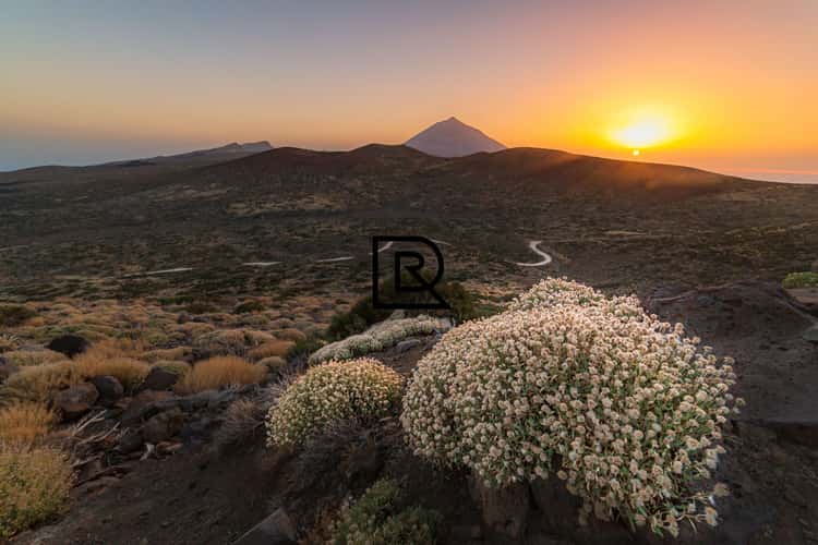 El Teide