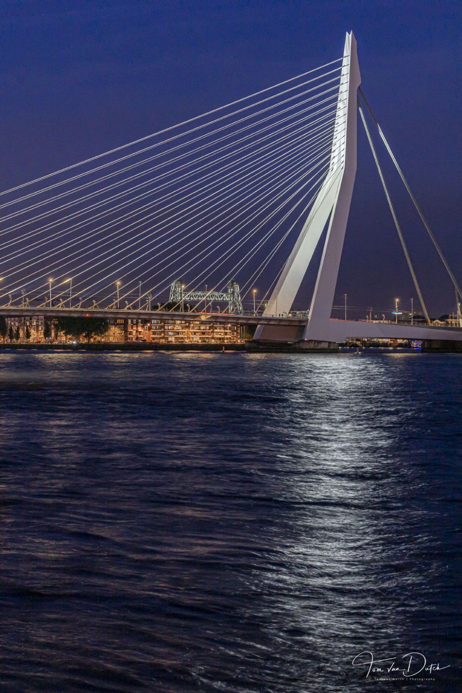 Erasmusbrug, Netherlands