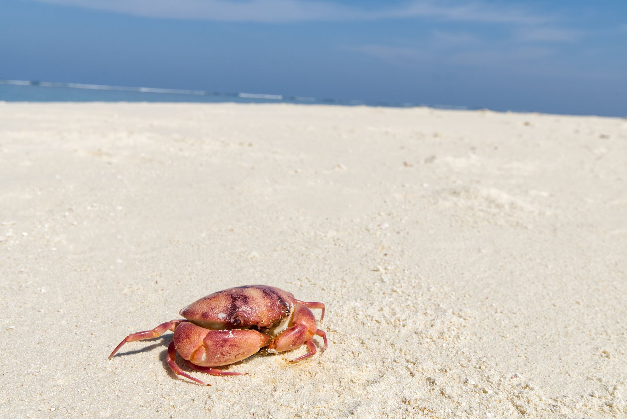 Feridhoo, Maldives