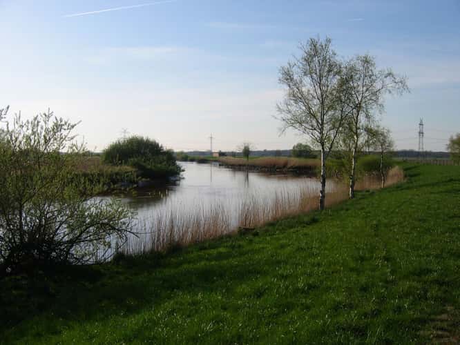 Fluß im Frühling