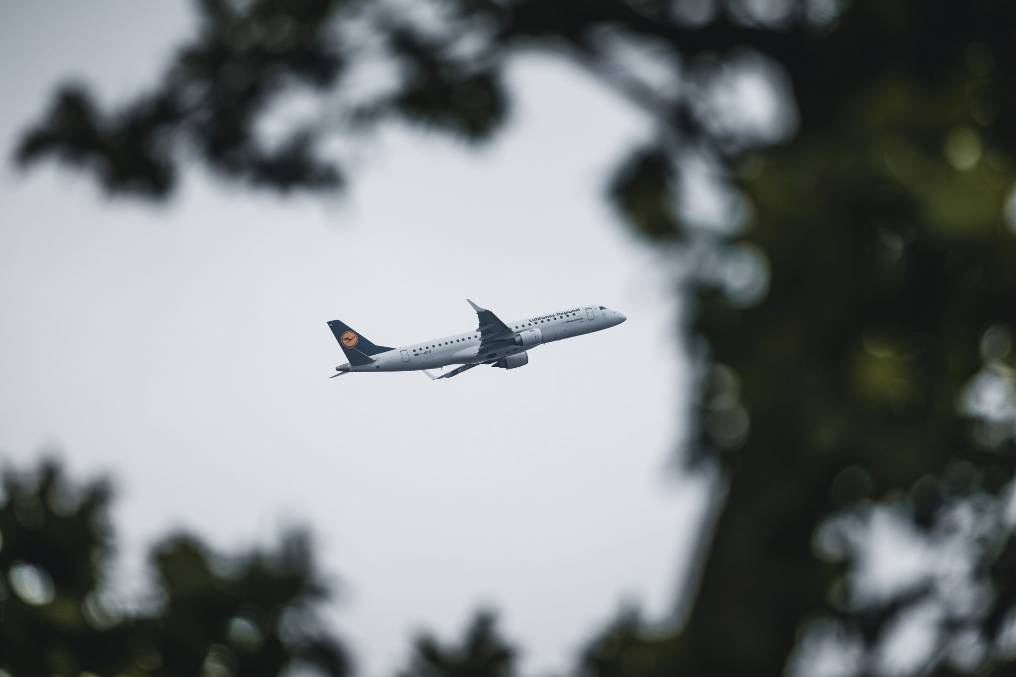 Frankfurt airport plane watching, Germany