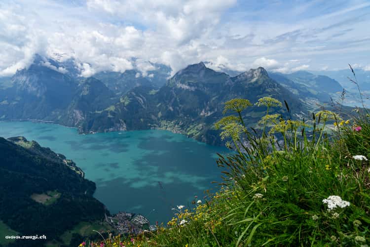 Fronalpstock
