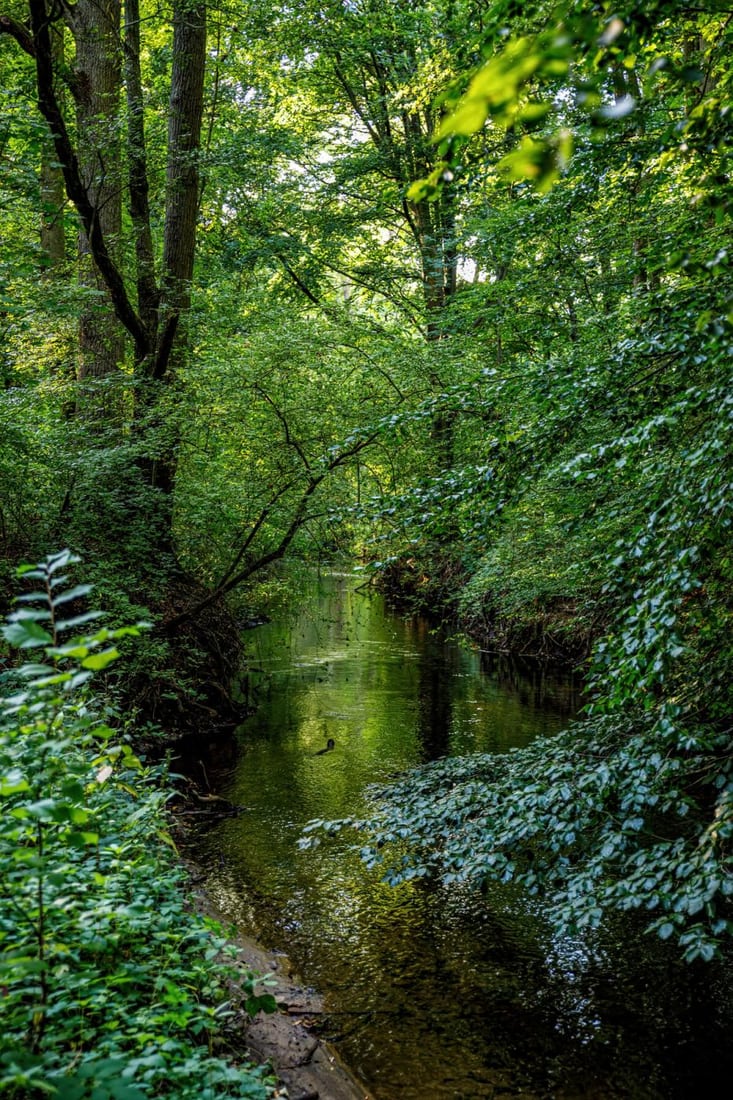 Fuhse River near Uetze, Germany