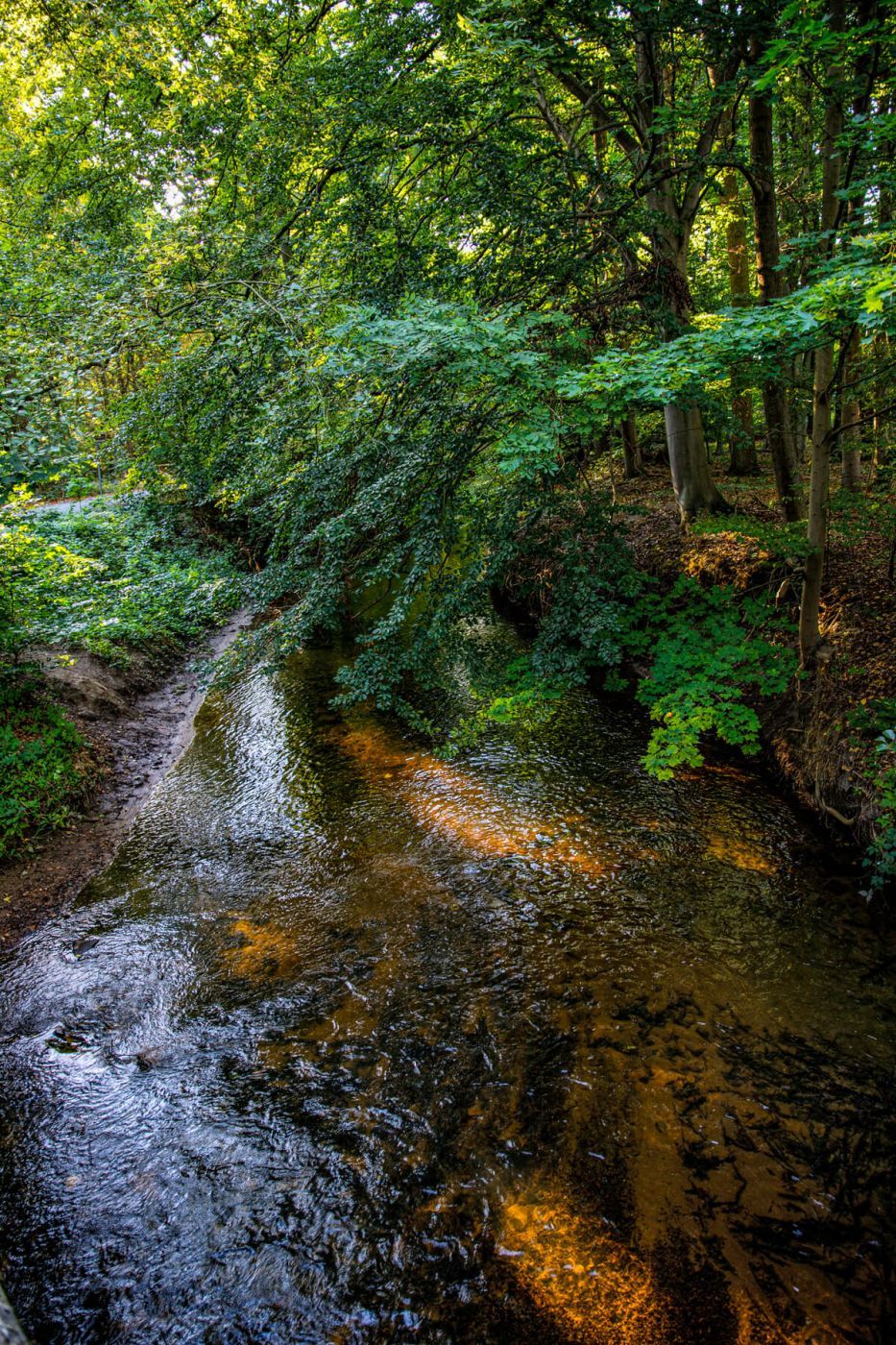 Fuhse River near Uetze, Germany