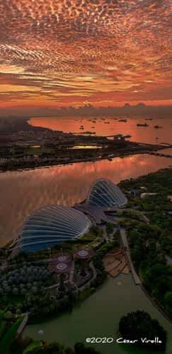 Gardens by the bay from above