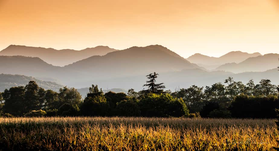 Giavenale di Schio, VI, Italia