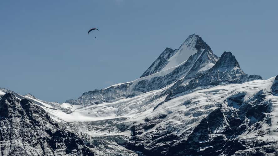 Grindelwald First