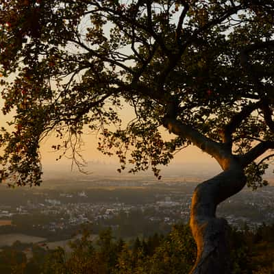 Großer Mannstein, Germany