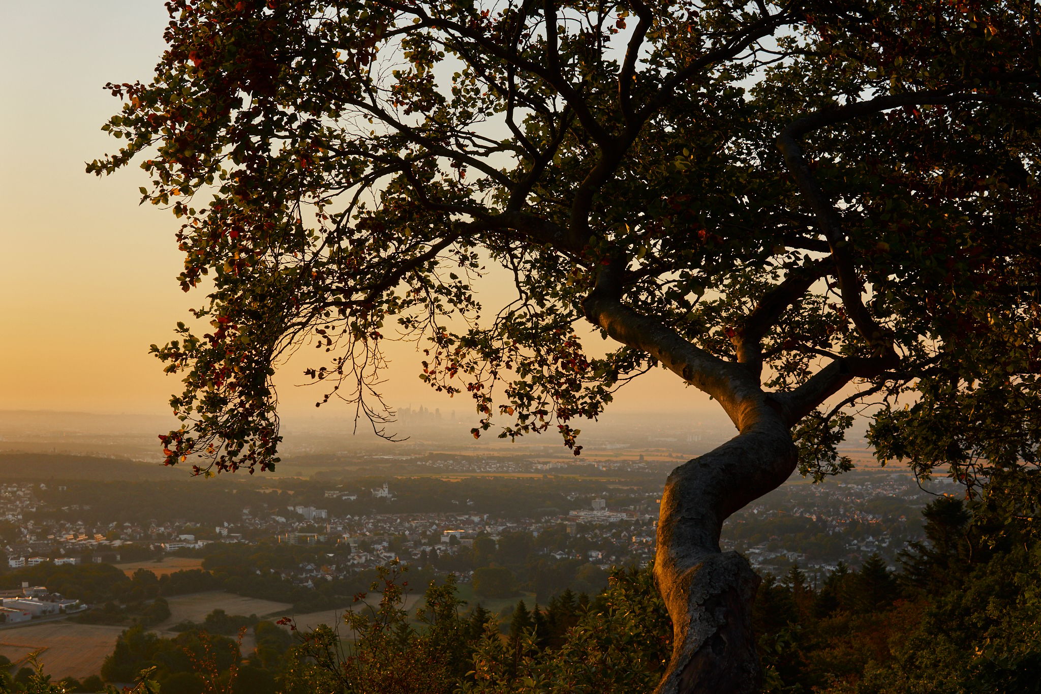 Großer Mannstein, Germany