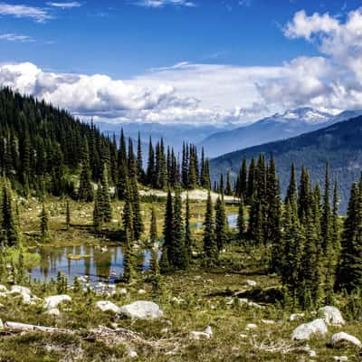 Harmony Lake Trail, Canada