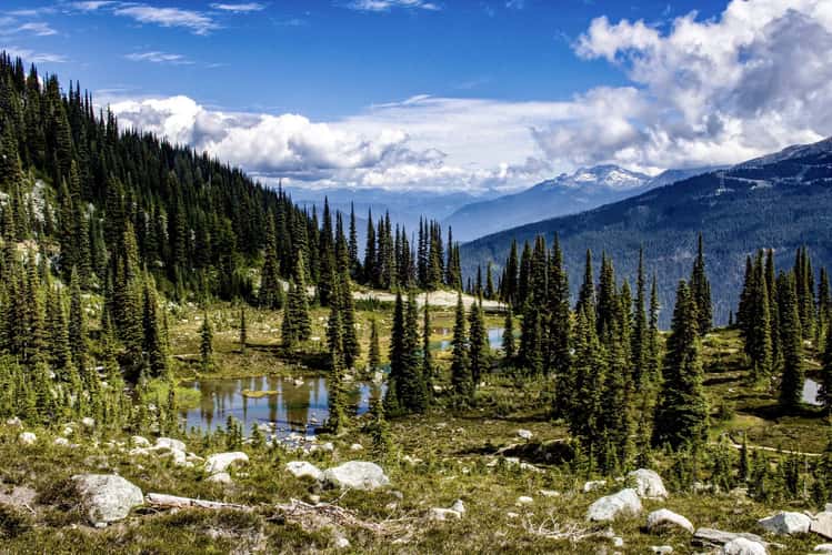Harmony Lake Trail