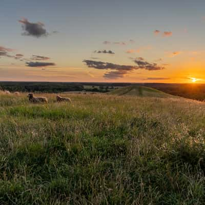 Hills of Herstedhøje, Albertslund, Denmark