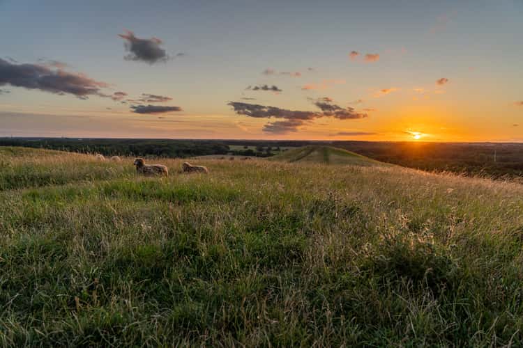Hills of Herstedhøje, Albertslund