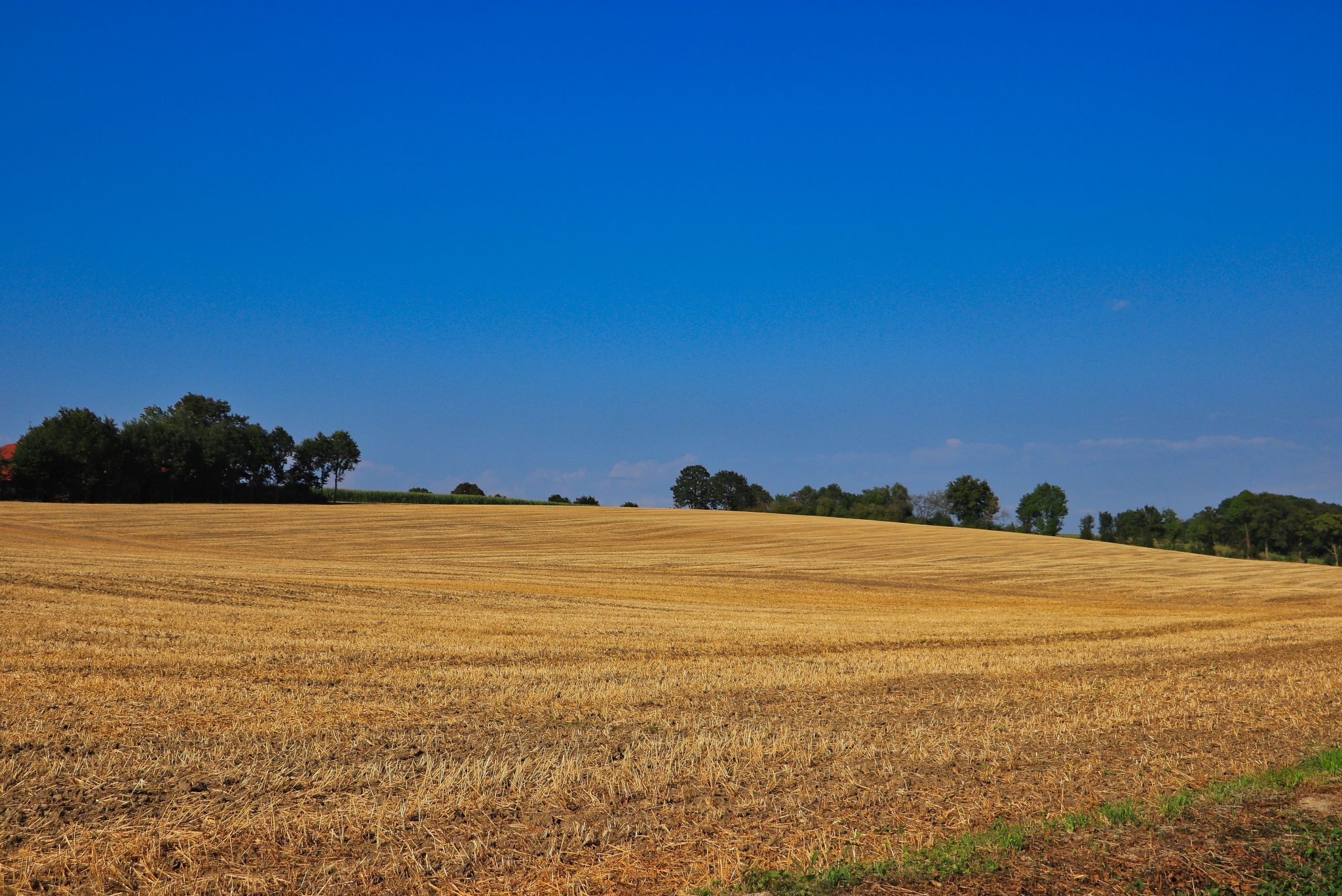 Hohenhorst, Germany