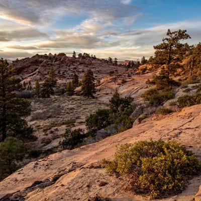 Hoodoo City, USA