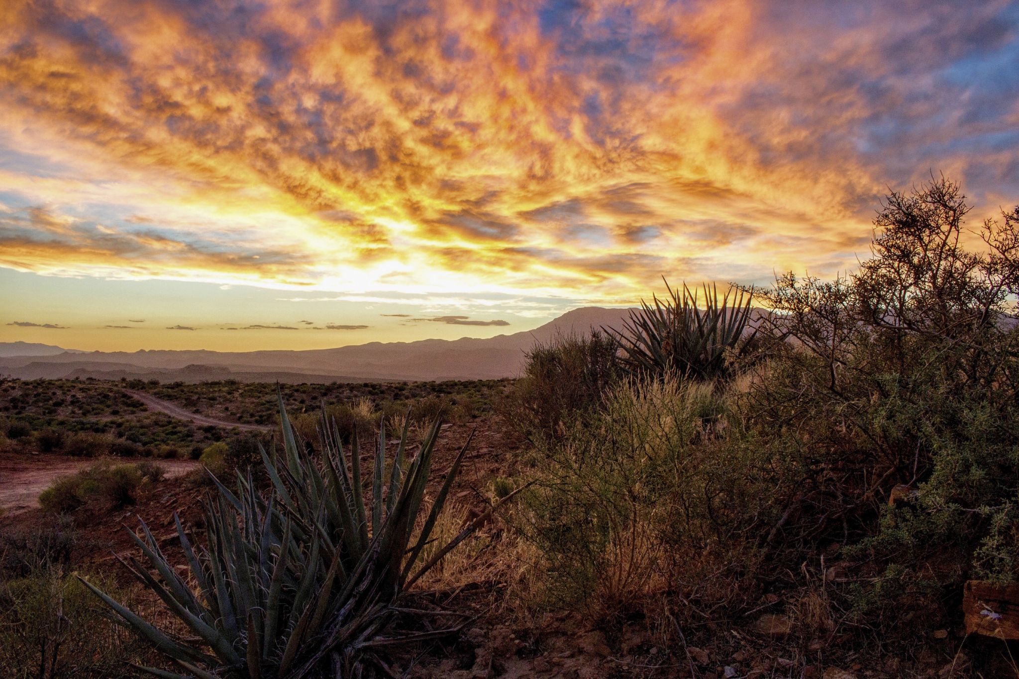 Hurricane Mesa, USA