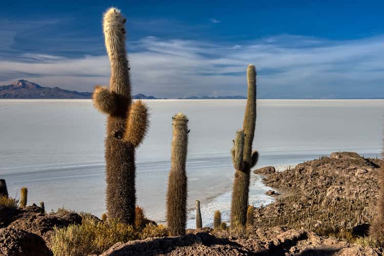 Isla Incahuasi