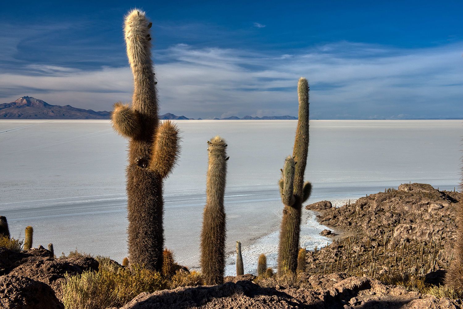 Isla Incahuasi, Bolivia