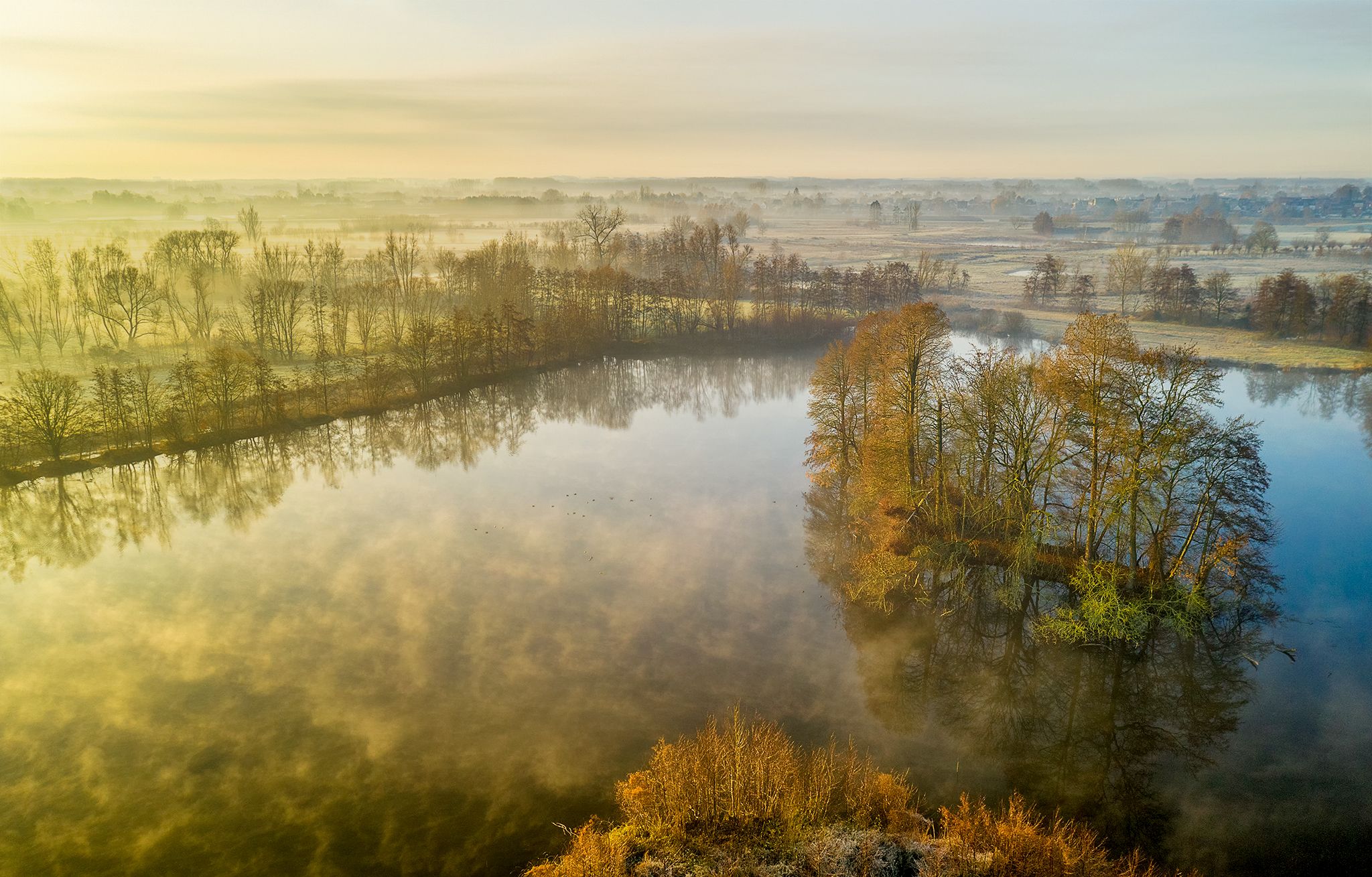 Kalkense Meersen on a misty morning, Belgium