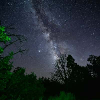 Kolob Road, USA