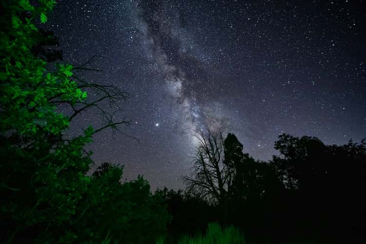 Kolob Road