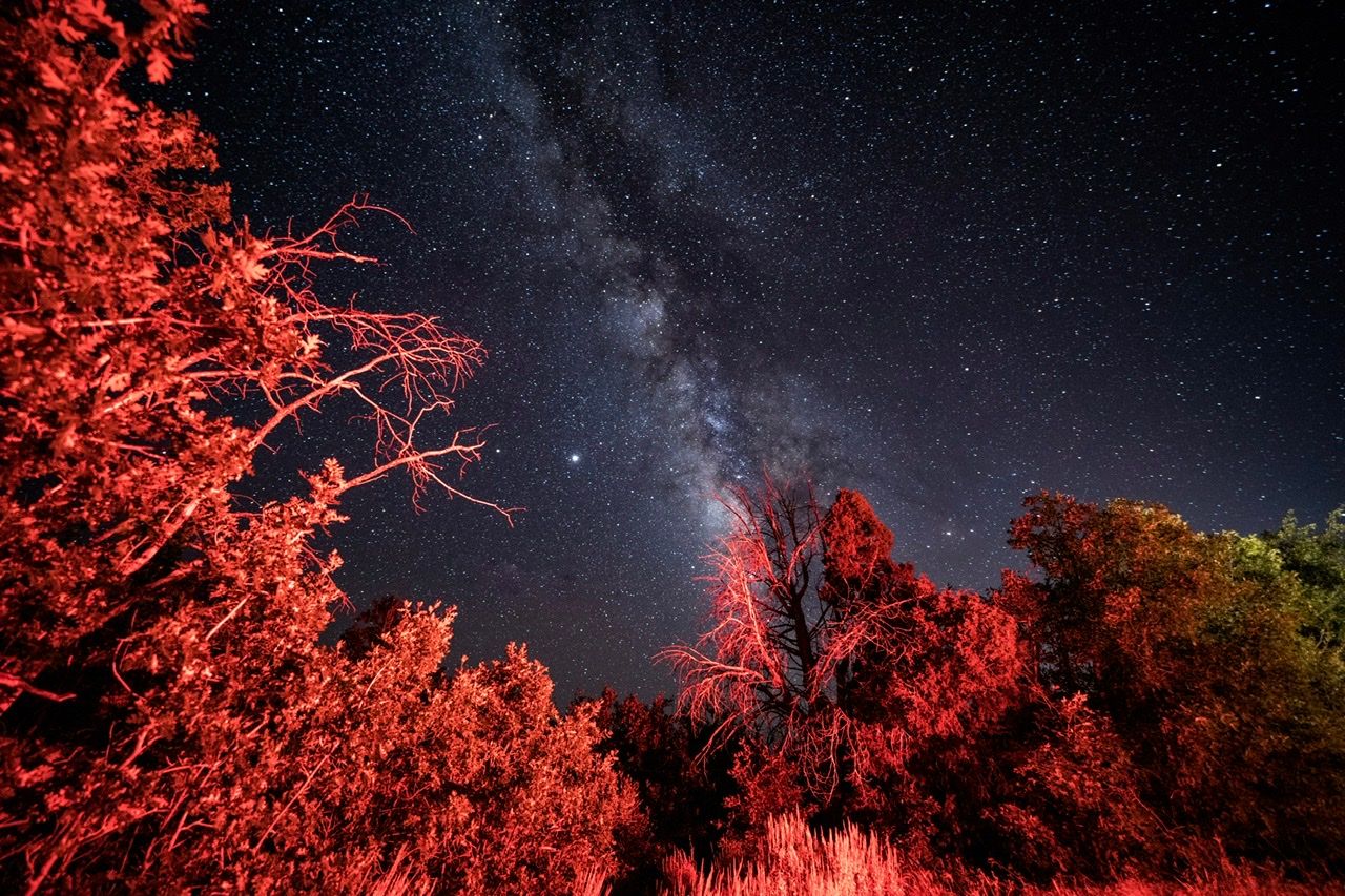 Kolob Road, USA