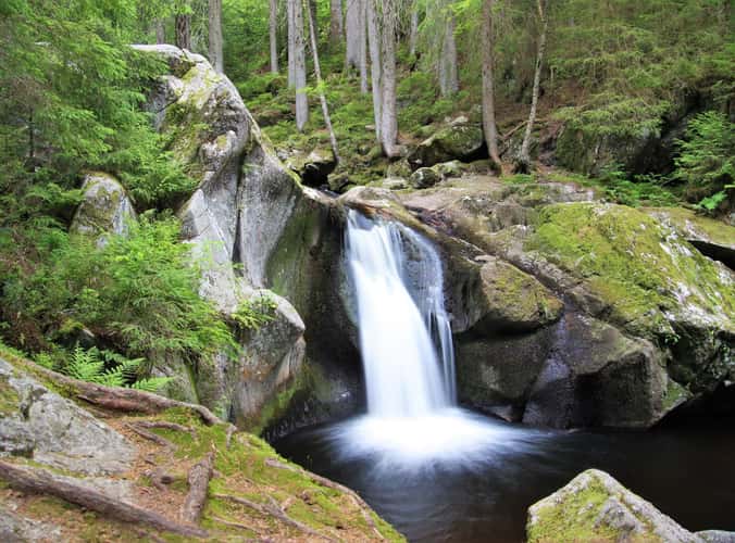 Krai Woog Gumpen, Black Forest
