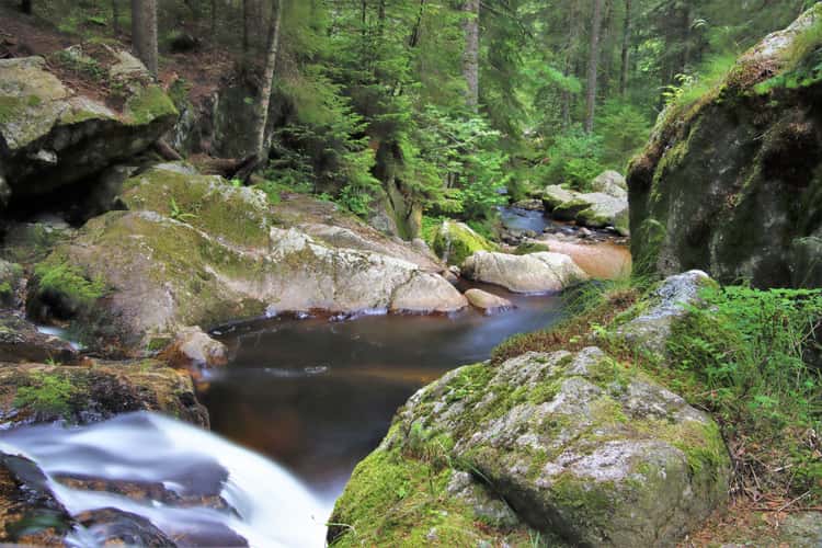 Krai Woog Gumpen, Black Forest
