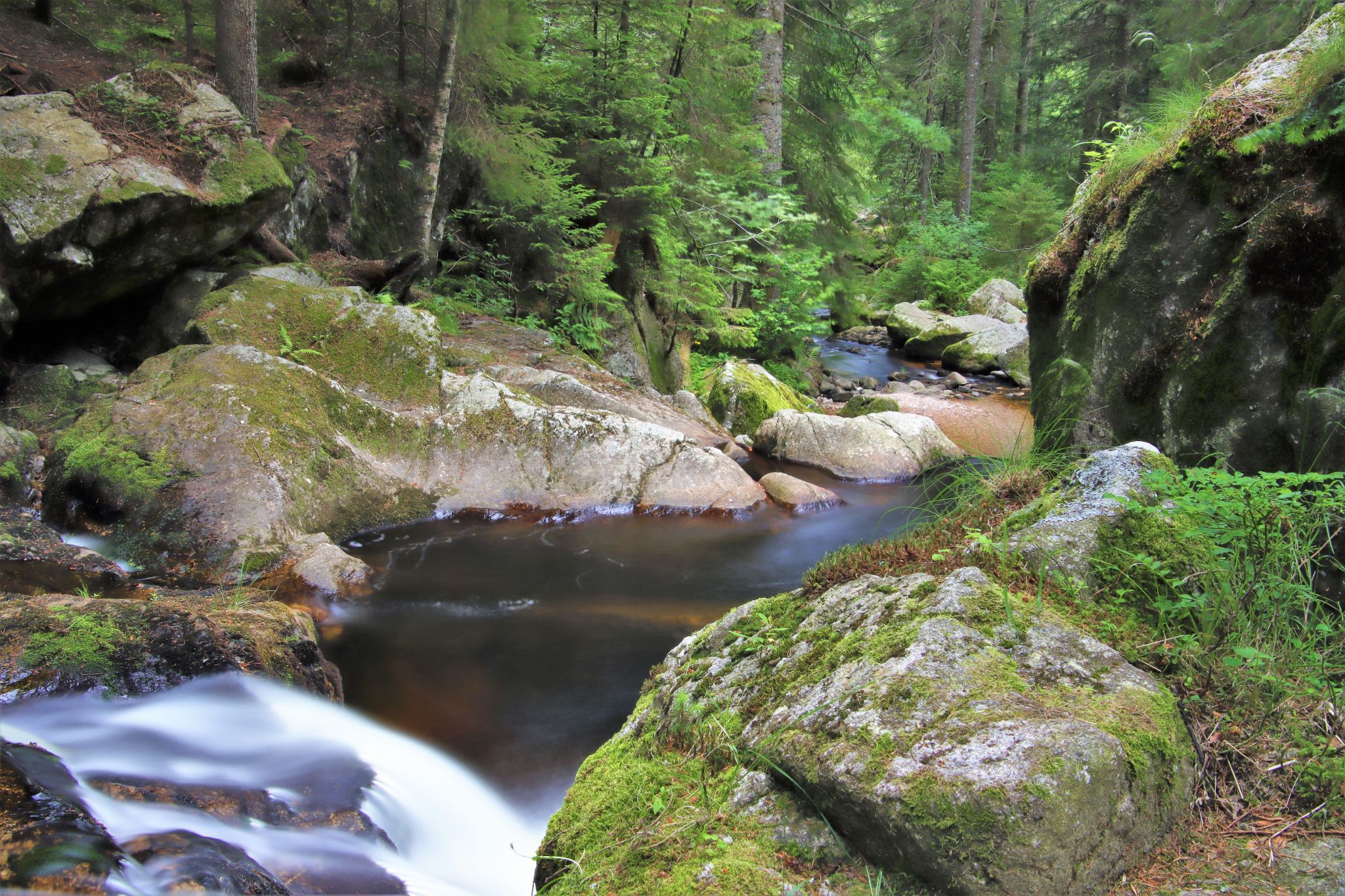 Krai Woog Gumpen, Black Forest, Germany