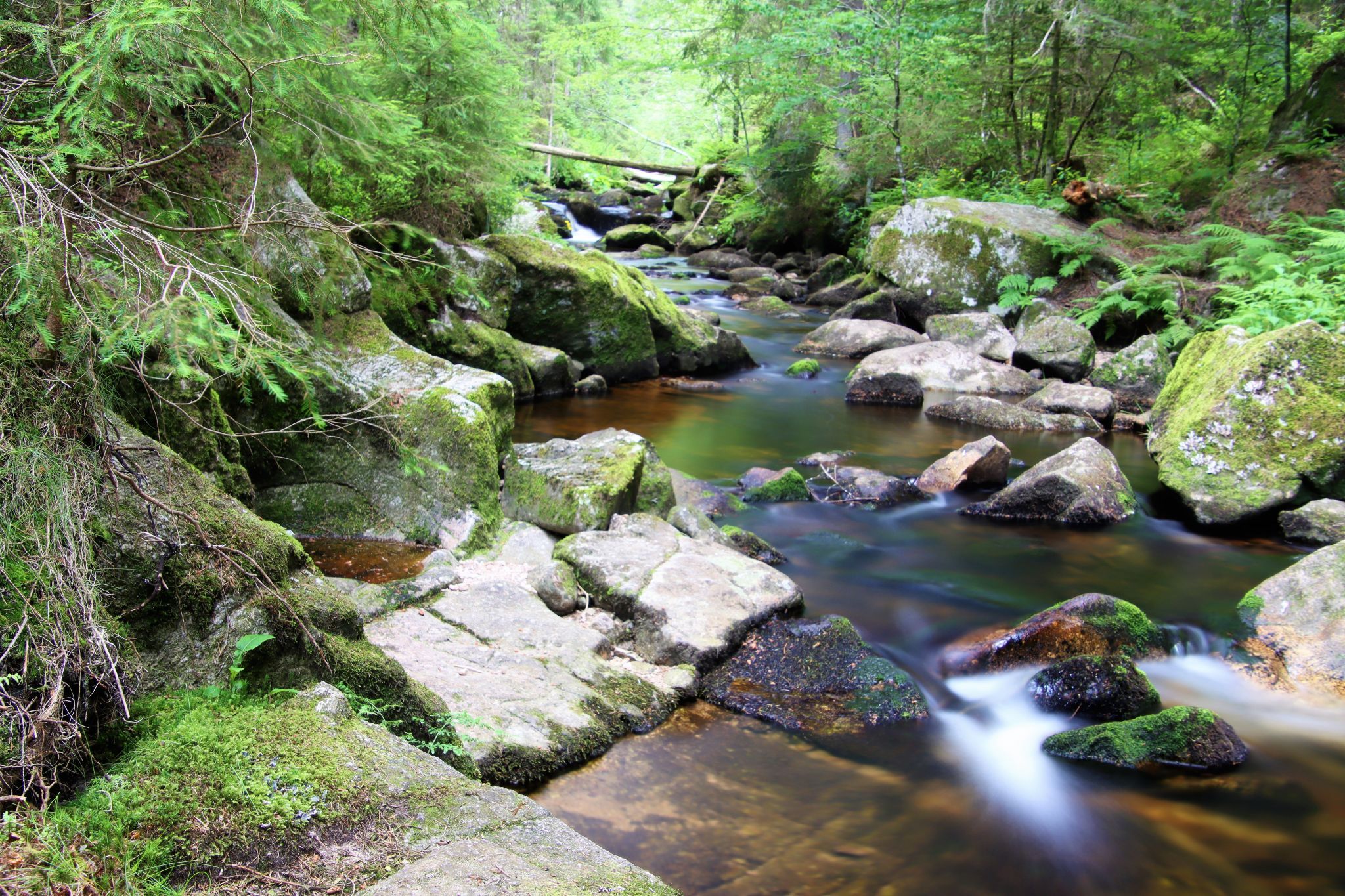 Krai Woog Gumpen, Black Forest, Germany