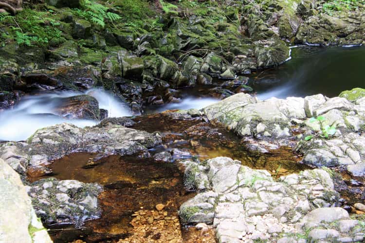 Krai Woog Gumpen, Black Forest