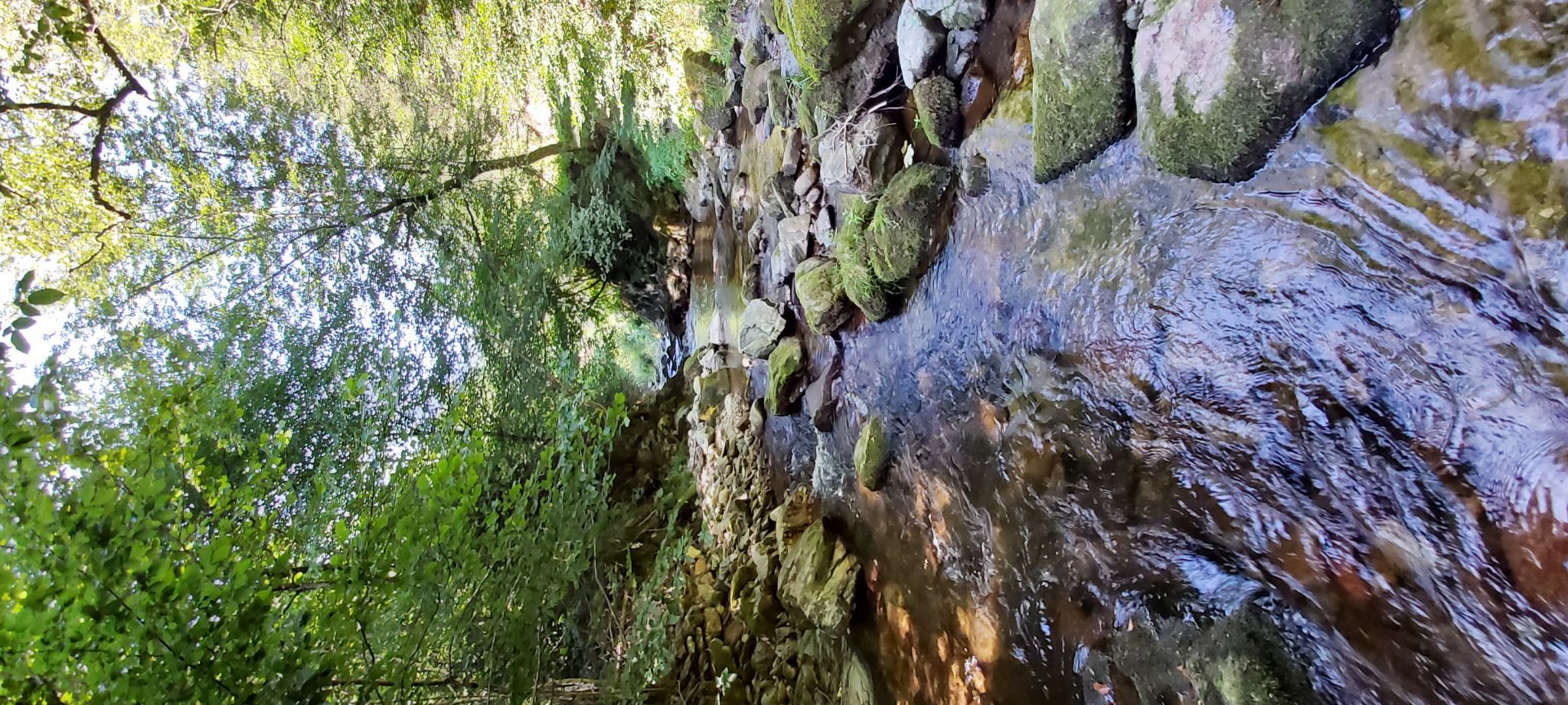 Lierbach, Germany