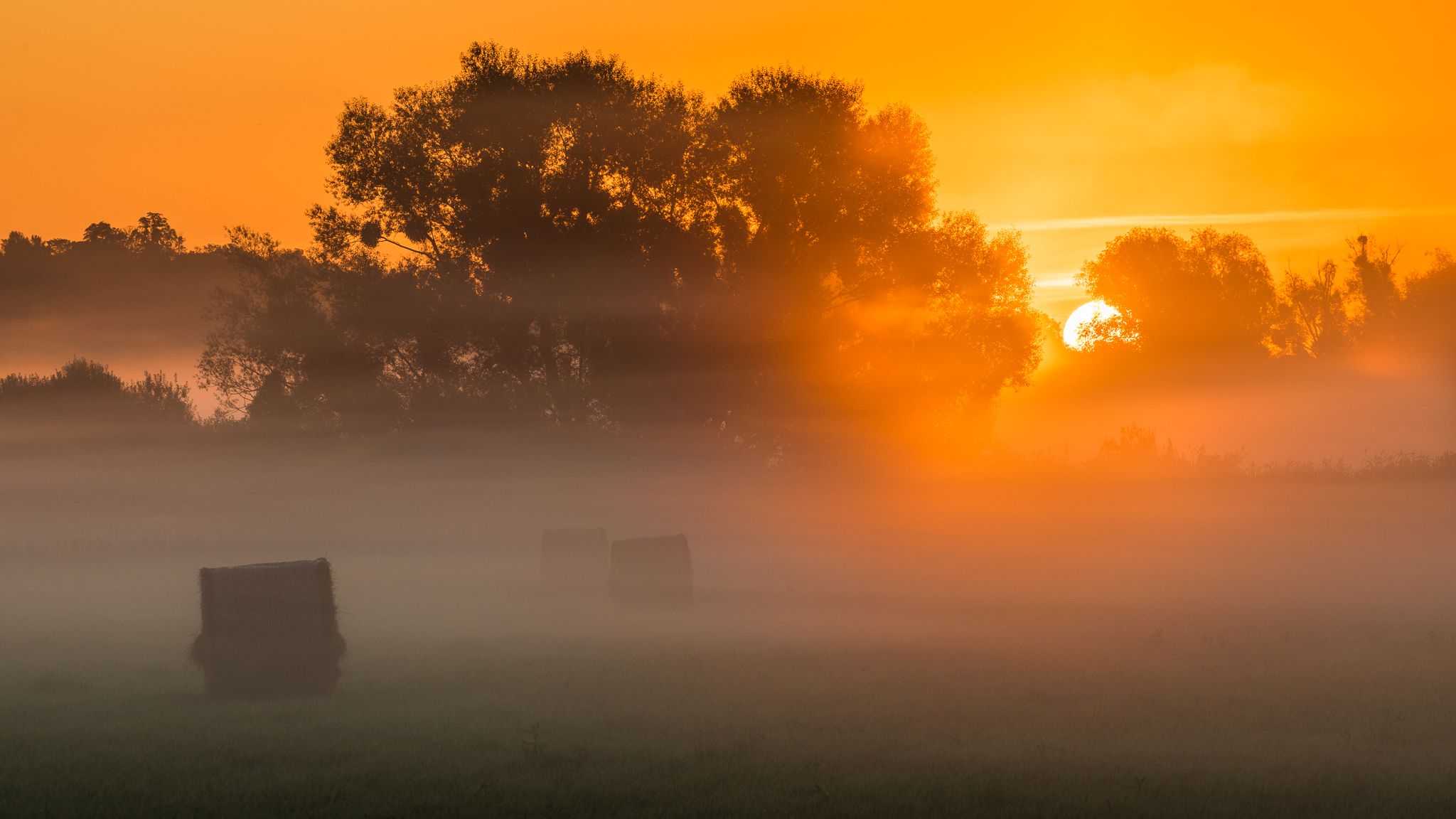 Lower Oder Valley National Park near Alt-Galow, Germany
